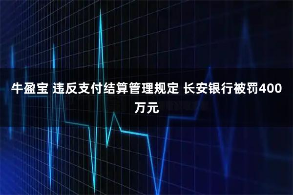 牛盈宝 违反支付结算管理规定 长安银行被罚400万元