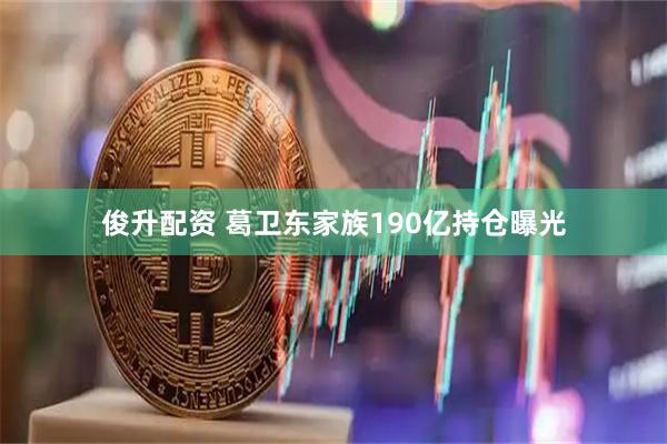 俊升配资 葛卫东家族190亿持仓曝光